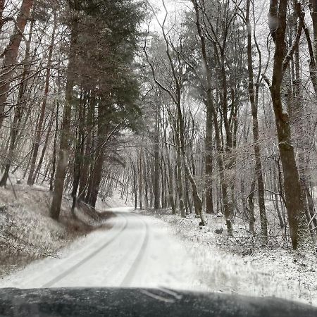Hidegpataki Fakapu Vadaszhaz Abaújszántó Buitenkant foto