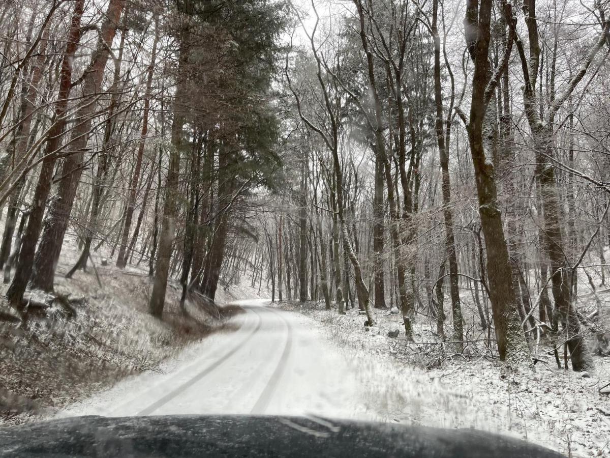 Hidegpataki Fakapu Vadaszhaz Abaújszántó Buitenkant foto
