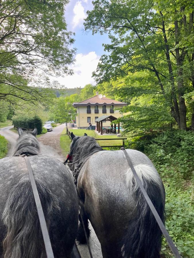Hidegpataki Fakapu Vadaszhaz Abaújszántó Buitenkant foto